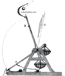 The Action Of The Trebuchet